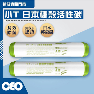 Filtre | K&uuml;&ccedil;&uuml;k T Japon Nano G&uuml;m&uuml;ş NSF (Yeşil) T33